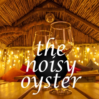 pr-noisy-01_1679771268