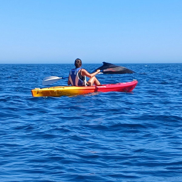 Kayak Paternoster