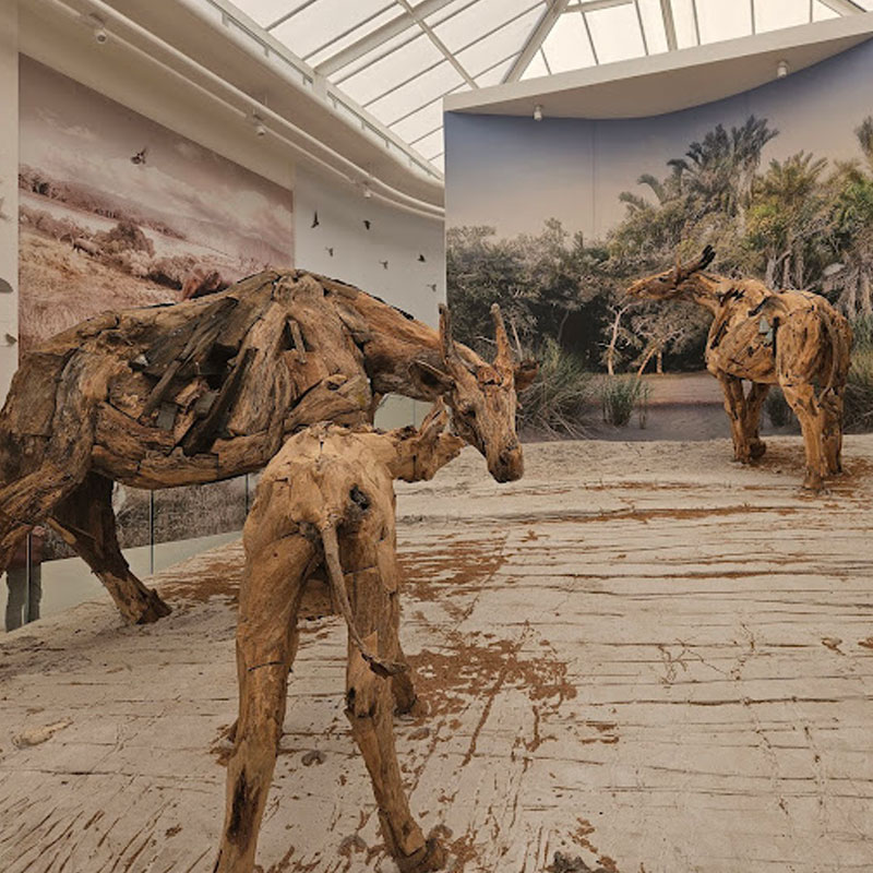 Fossil Park